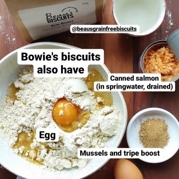 Master Bowie's Biscuits with Salmon, Mussels and Tripe Boost